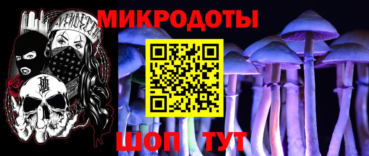 Похвистнево  наркошоп  Вход с VPN  Галлюциногенные грибы Psilocybine cubensis 