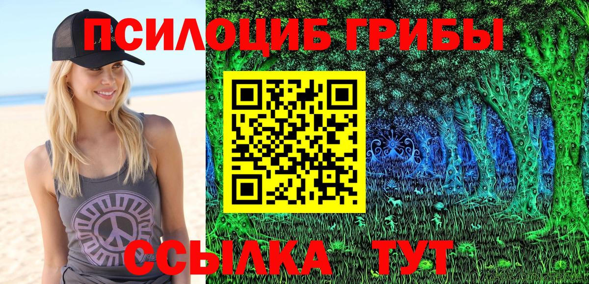 Галлюциногенные грибы MAGIC MUSHROOMS Похвистнево